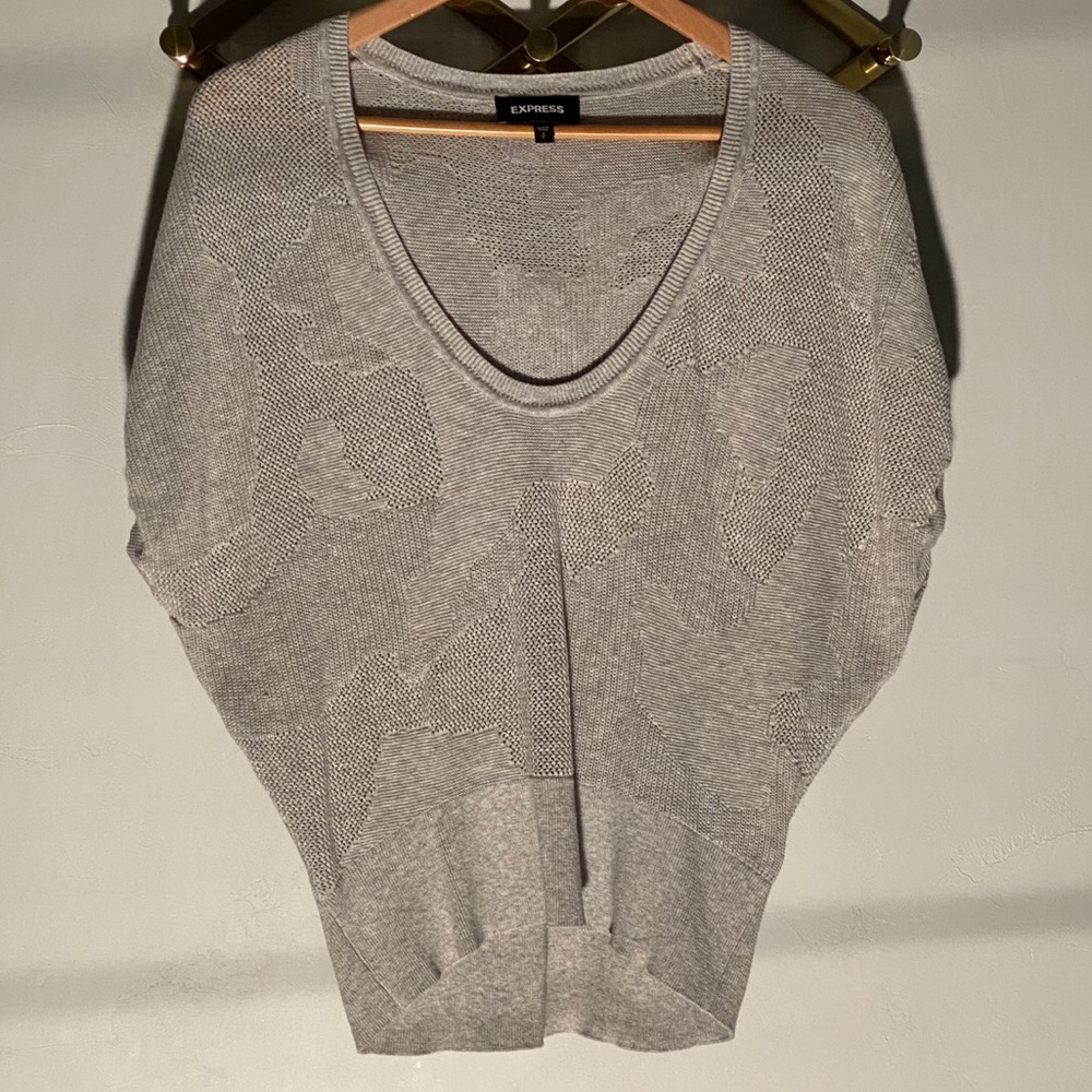 Express Scoop Neck Sweater